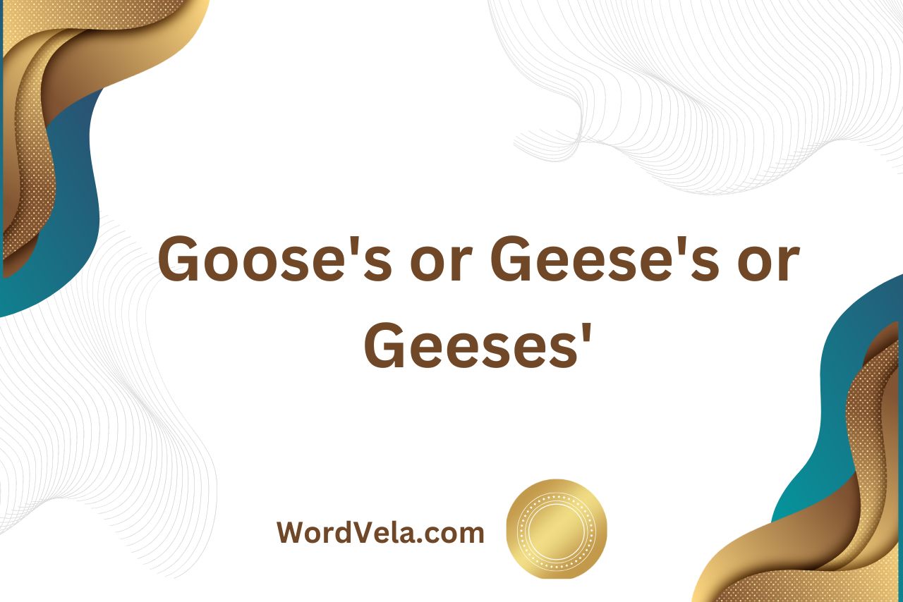 Goose’s or Geese’s or Geeses’? Which Is Correct?