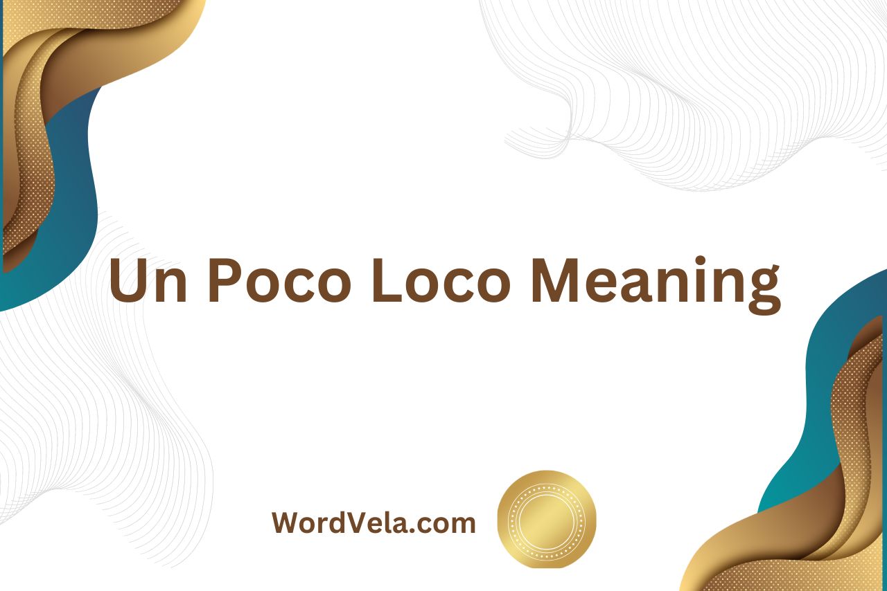 Un Poco Loco Meaning and Usage Explained!