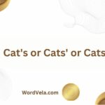 Cat’s or Cats’ or Cats? Which Is Correct?