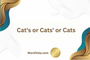 Cat's or Cats' or Cats